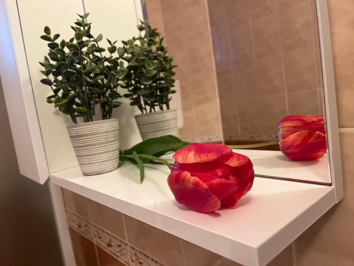 Apartment Lala 松博尔 外观 照片