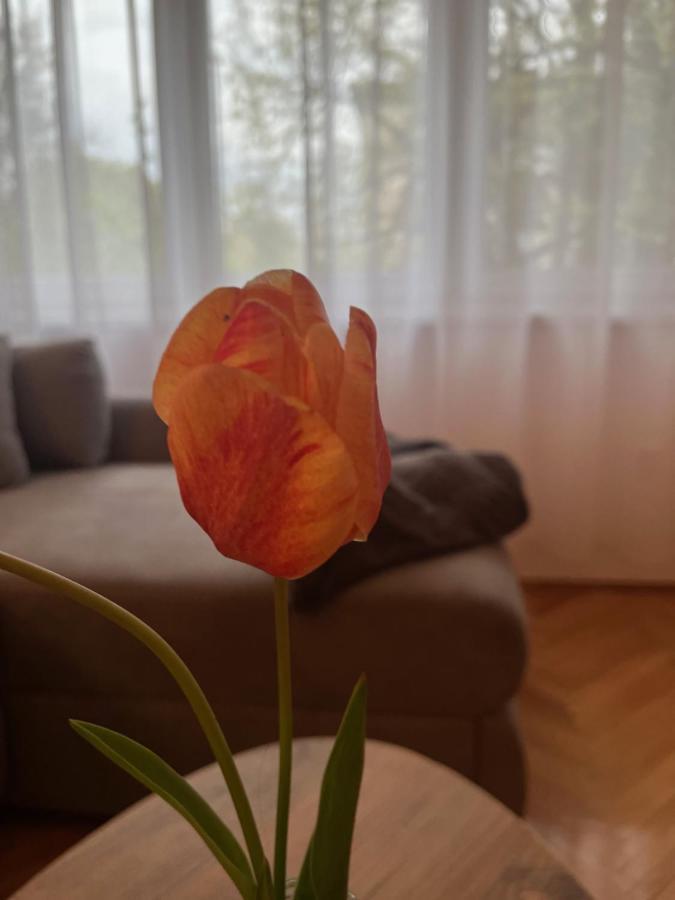 Apartment Lala 松博尔 外观 照片